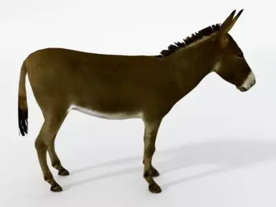 Brown Donkey Low-poly 3D model
