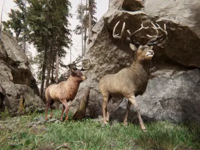 Realistic Deer-Stag Low-poly 3D model