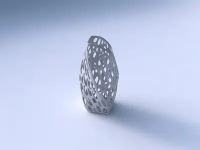 Vase twisted arc quadratic with smooth organic lattice 3D print model