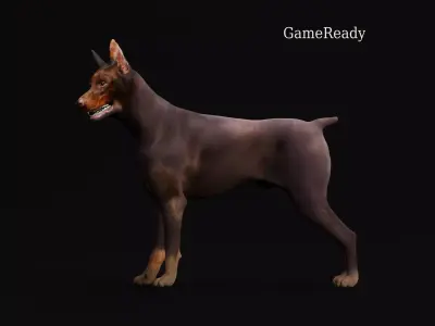 Dobermann Pinscher Dog Breed  3D model