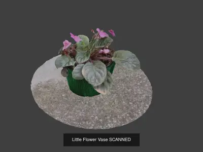 3D scanned Bundle SPECIAL OFFER 3D Model Collection