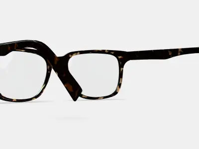 Chamberlain Eyeglasses in Whiskey Tortoise 3D model