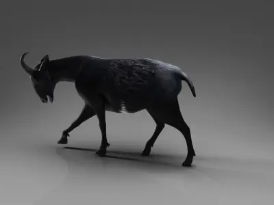 Goat 05 Rigged in Blender  Low-poly 3D model