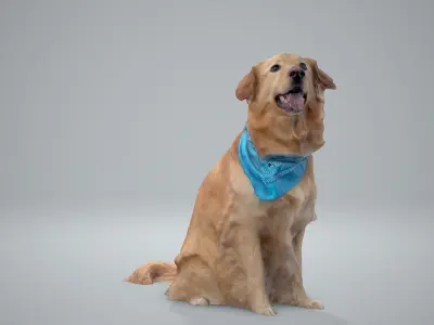 Sitting Dog Labrador Dog0002-HD2-P01-S 3D model