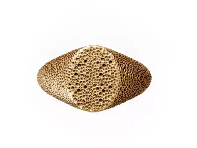 stone rock ring 3D print model
