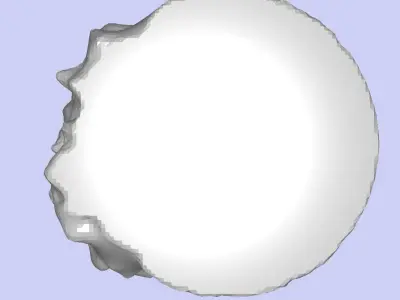 MakeIT Trunk With Face Decoration Piece  3D model