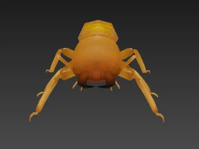 termite insect Low-poly 3D model