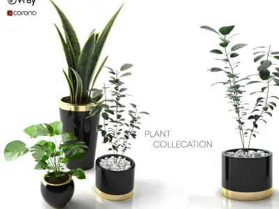 plant collection set 01 3D model