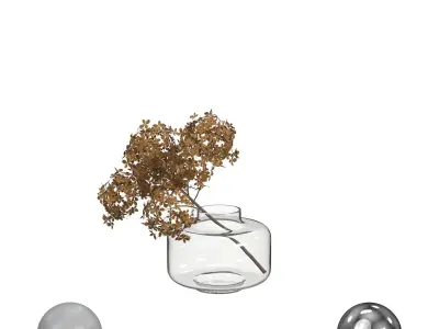 Bouquet Dried Hydrangea 3D model
