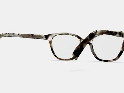 Correct Eyeglasses in Ecru Tortoise 3D model