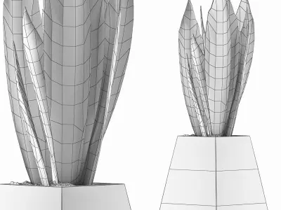 Plants Collection 114 3D model