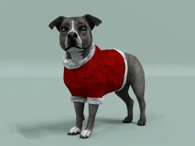  American Pitbull Dog Rigged Animated Low-poly 3D model
