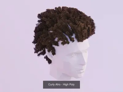 Long Hair Bundle 3D Model Collection