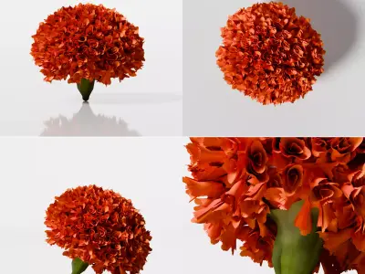 puja props and sweets thali setup  Low-poly 3D model