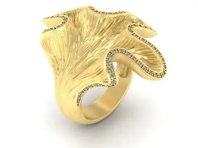 Ring Iris 3D print model