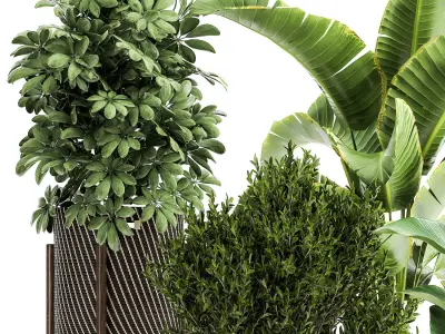 Ornamental plants in rattan baskets 1036 3D model