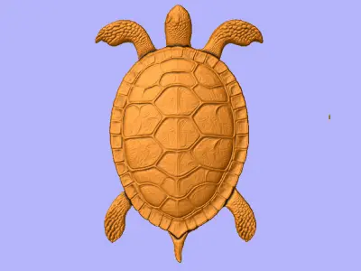 TARTARUGA 2 3D model