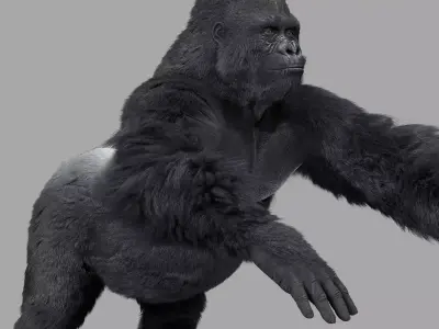 Gorilla-maya gorilla 3D model
