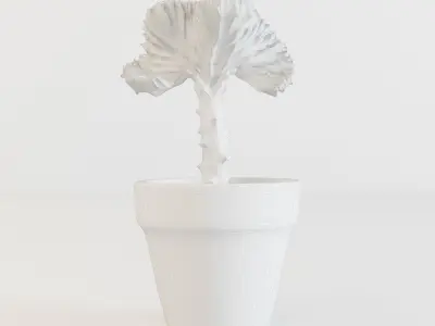 Coral Cactus 3D model