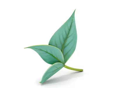 Elegant Leaf model pack Low-poly 3D model