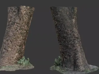 Realistic 3D Scanned Tree Trunk with Moss  Low-poly 3D model