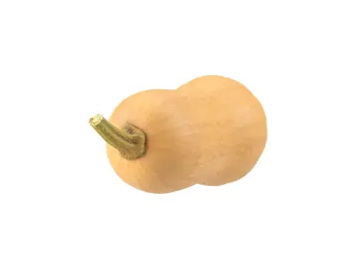 Photorealistic Butternut Squash 3D Scan 3D model