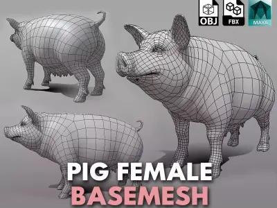 Pig Female  Low-poly 3D model