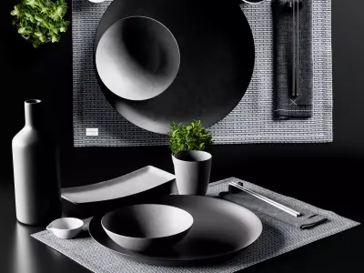 Japanese minimalist Sushi set with Plant from Chalk and Moss 3D model