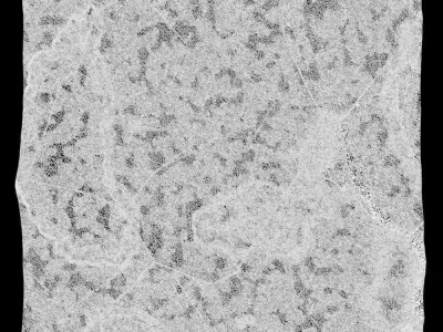 223-RockPanel piece of rock on wall 3D model