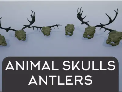 Animal Skulls and Antlers Low-poly 3D model