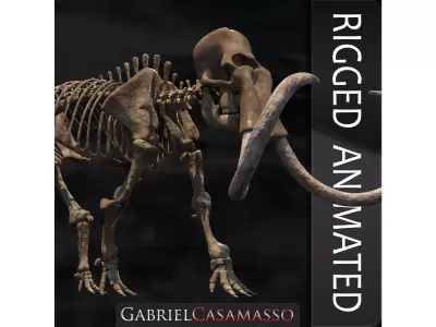 Woollly Mammoth Complete Skeleton System 3D model