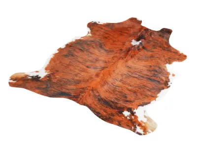 Tricolor Cowhide Rug A27021 3D model