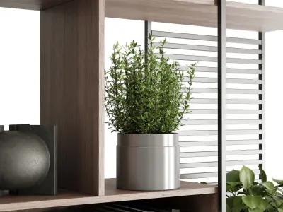 Metal Shelves Decorative With Plants and Book Wooden Rack 01 3D model