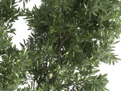 Indoor plant 285 concrete dirt vase plant tree pot 3D model