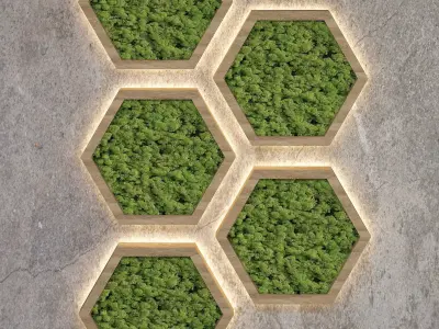 Decorative moss  Low-poly 3D model