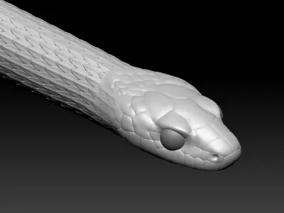 Garter Snake Zbrush Model 3D model