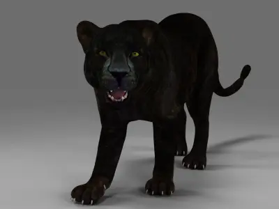 Black Panther Rigged in Blender  Low-poly 3D model
