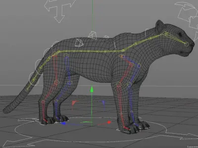 Cheetah 3D model High Detailed Rigged and Textures 3D model
