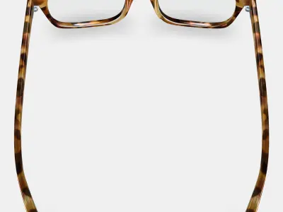 Mullins Eyeglasses in Acorn Tortoise 3D model