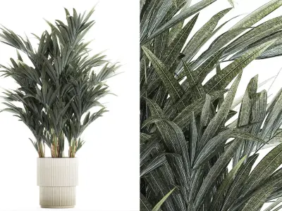 Beautiful palm tree in a flower pot for decoration 1281 3D model