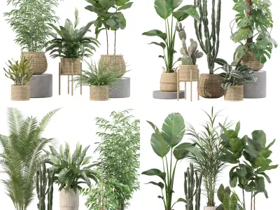 20 Photorealistic Flowers for Interiors - set 201 205 211 214 3D Model Collection