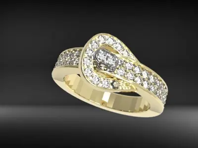 Belt Buckle Ring  3D print model