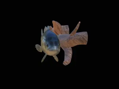 BASS UNDERWATER STATUE ON THE WALL DETAILED TEXTURE 3D print model