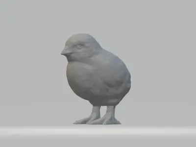 Chick bird 3D print model