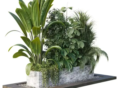 Outdoor plant box- Trees and shrubs in pot Set 145 Low-poly 3D model