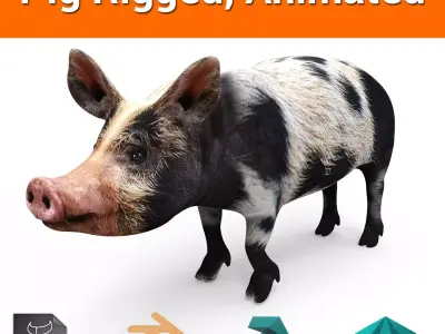 gray black Pig Rigged  Animated 3D model Low-poly 3D model