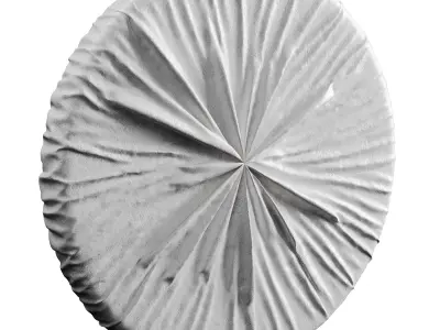 Panno Low-poly 3D model