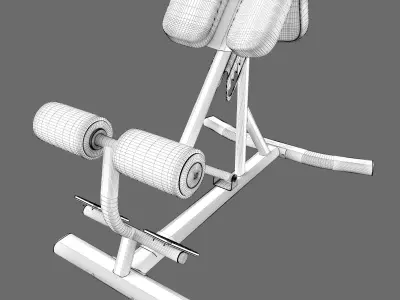 Lifefitness Signature Series Back Extension 3D model
