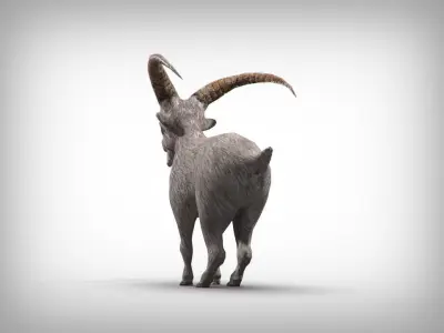 Goat low poly with long horns Low-poly 3D model