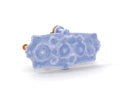 Steampunk Gear Mechanism model pack Low-poly 3D model